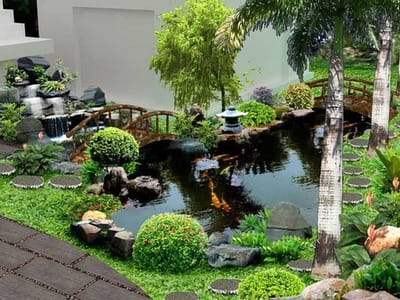 tieu canh san vuon