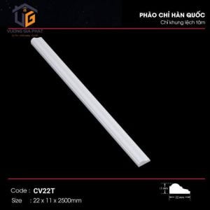 Chỉ khung lệch tâm CV22T