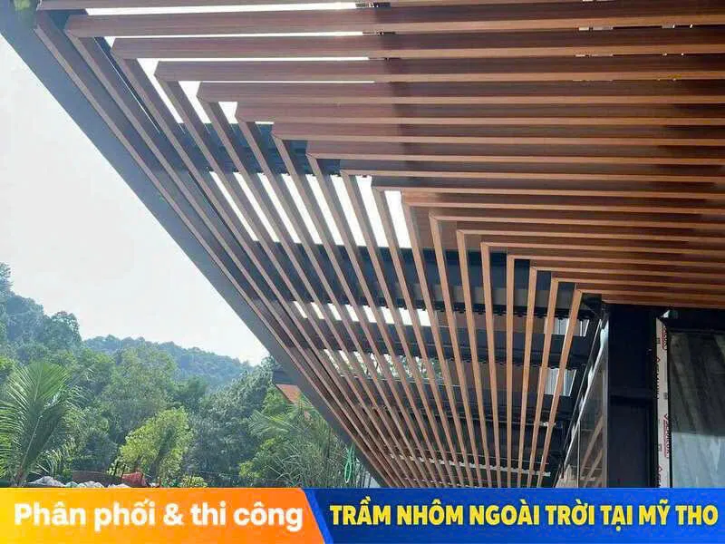 tran nhom ngoai troi my tho 5